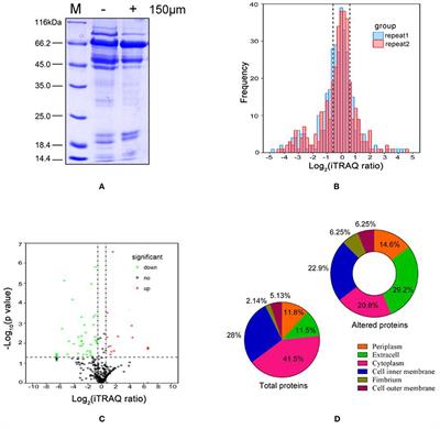 Frontiers Comparative Extracellular Proteomics Of Aeromonas